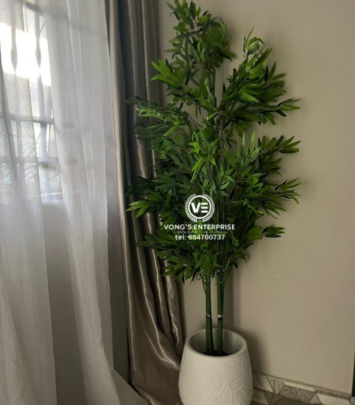 Flower Plant
